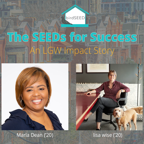 SEEDs for success